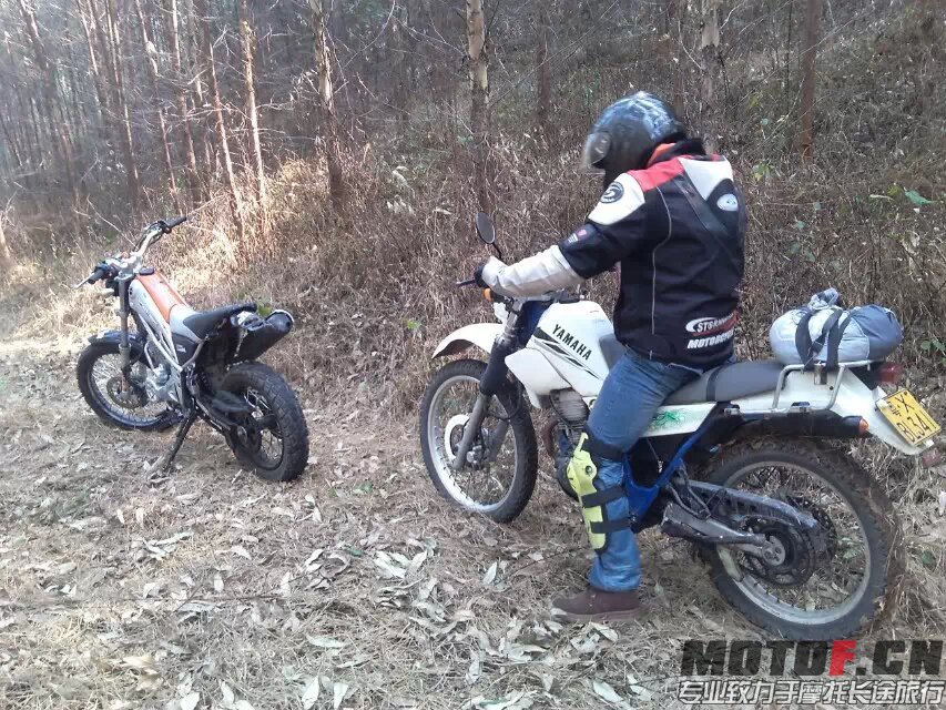 茶山快乐林道 (40).jpg
