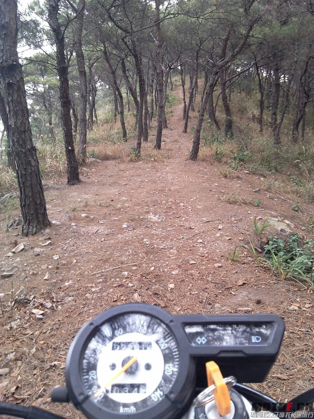 山脊的中速路.jpeg
