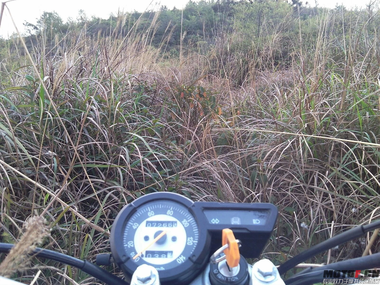 小道.jpeg