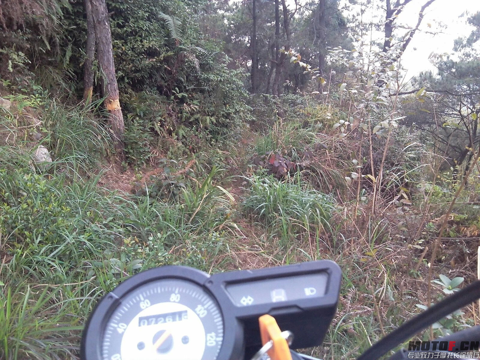 小道1.jpeg