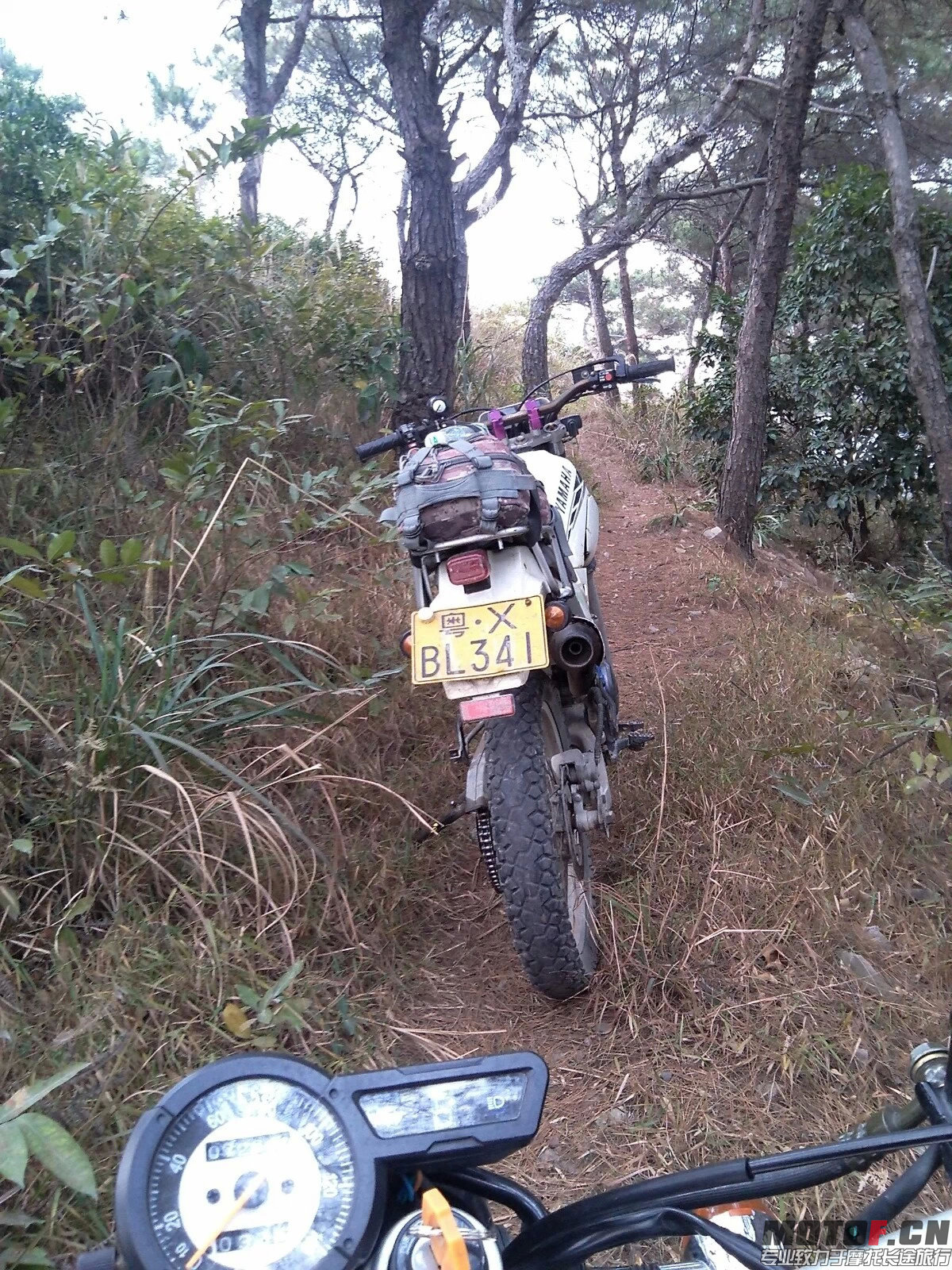 小道2.jpeg