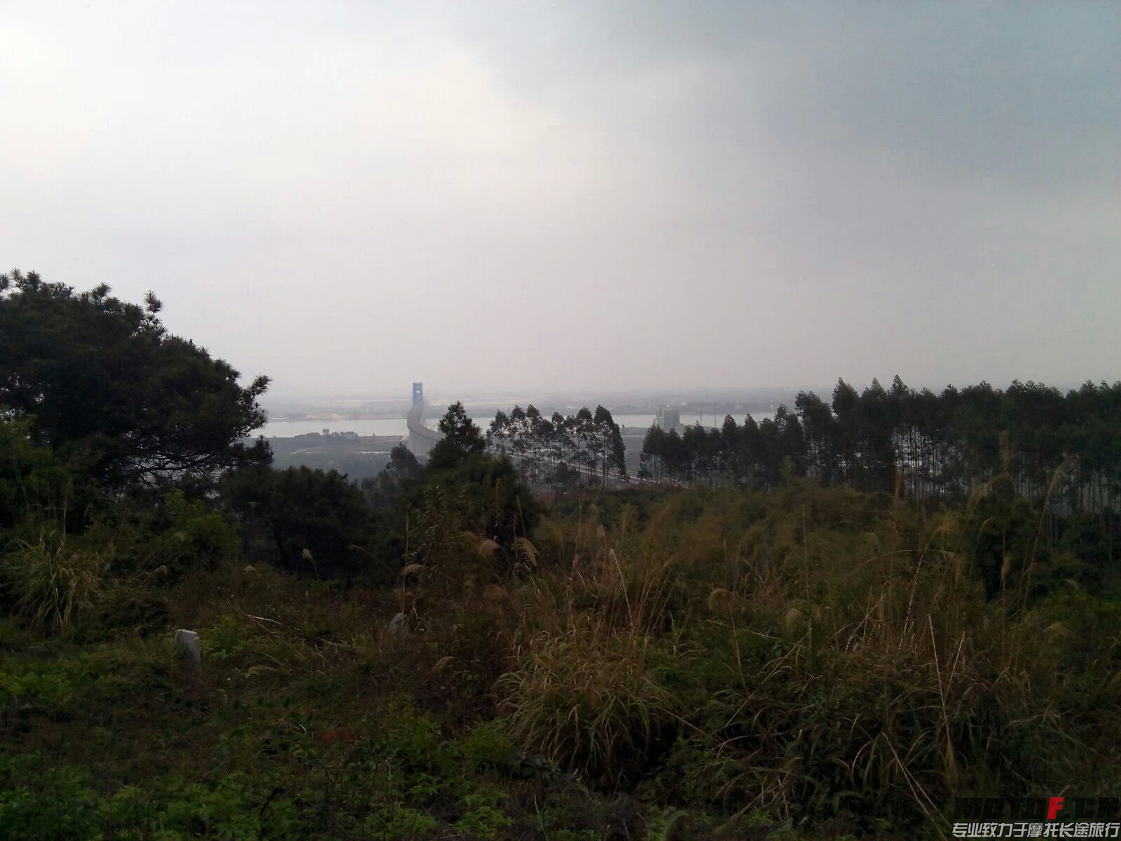 茶山风景1.jpeg