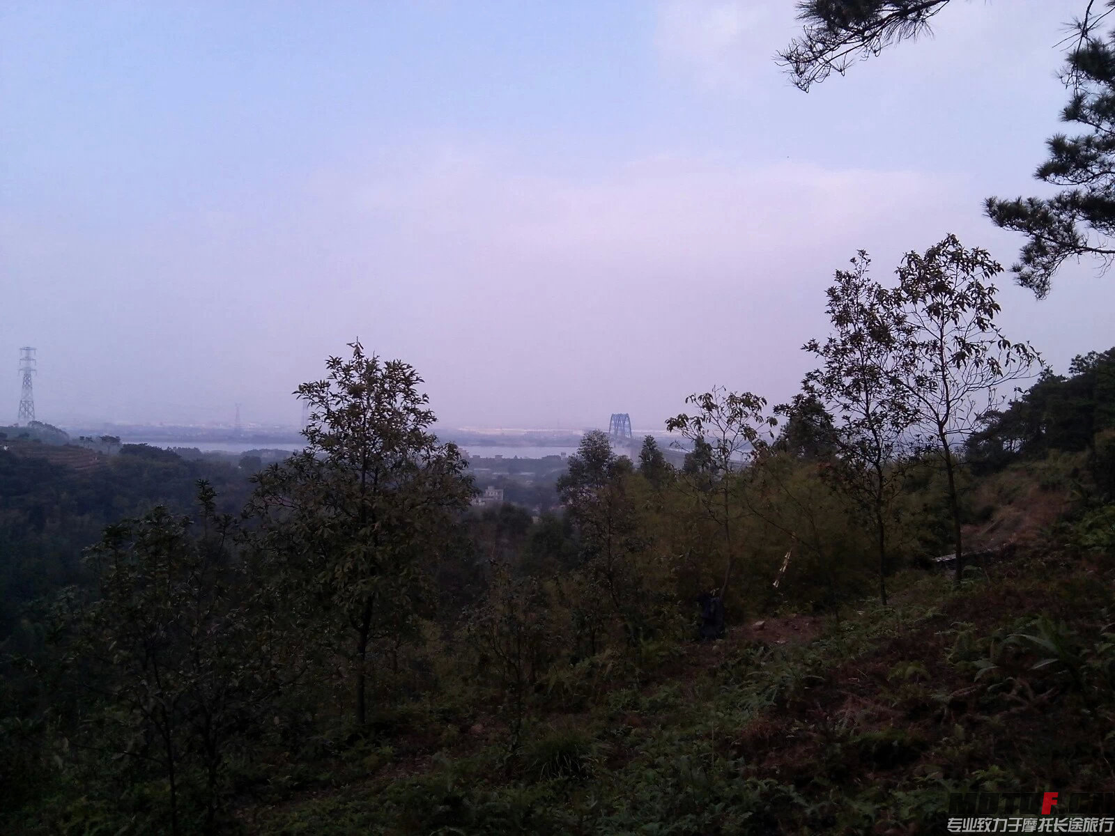 茶山风景2.jpeg