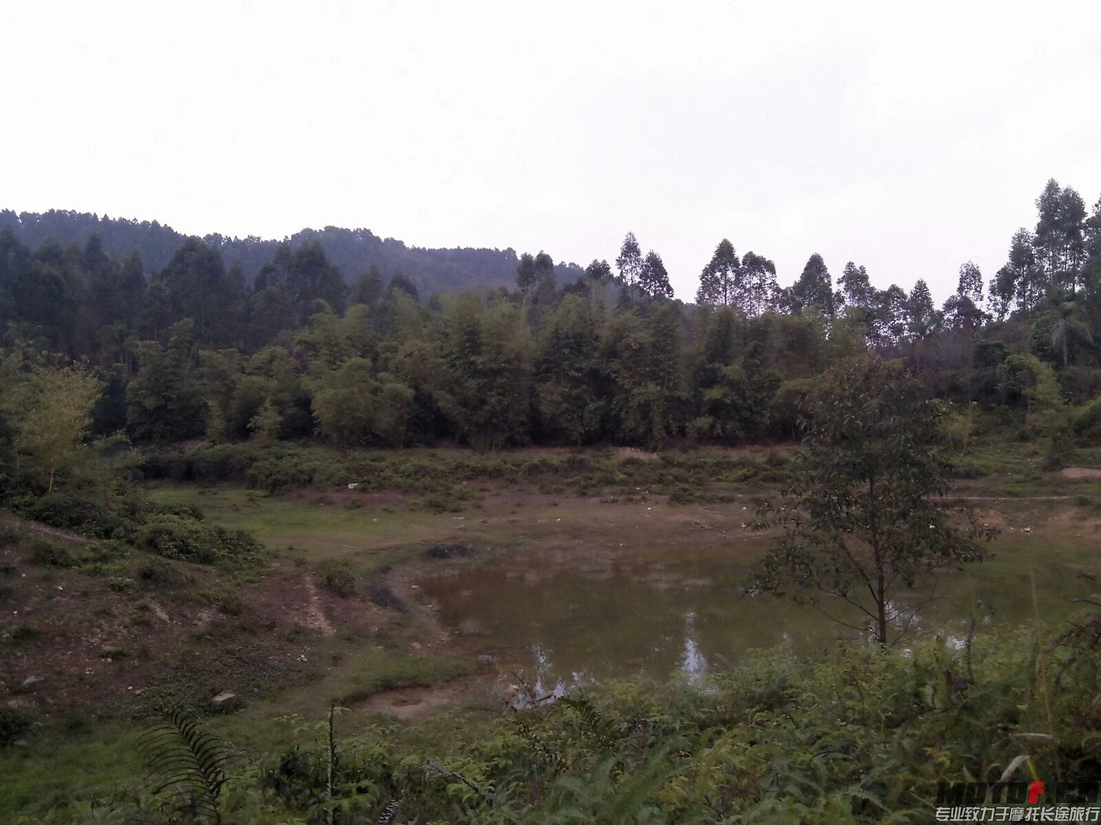 茶山风景4.jpeg