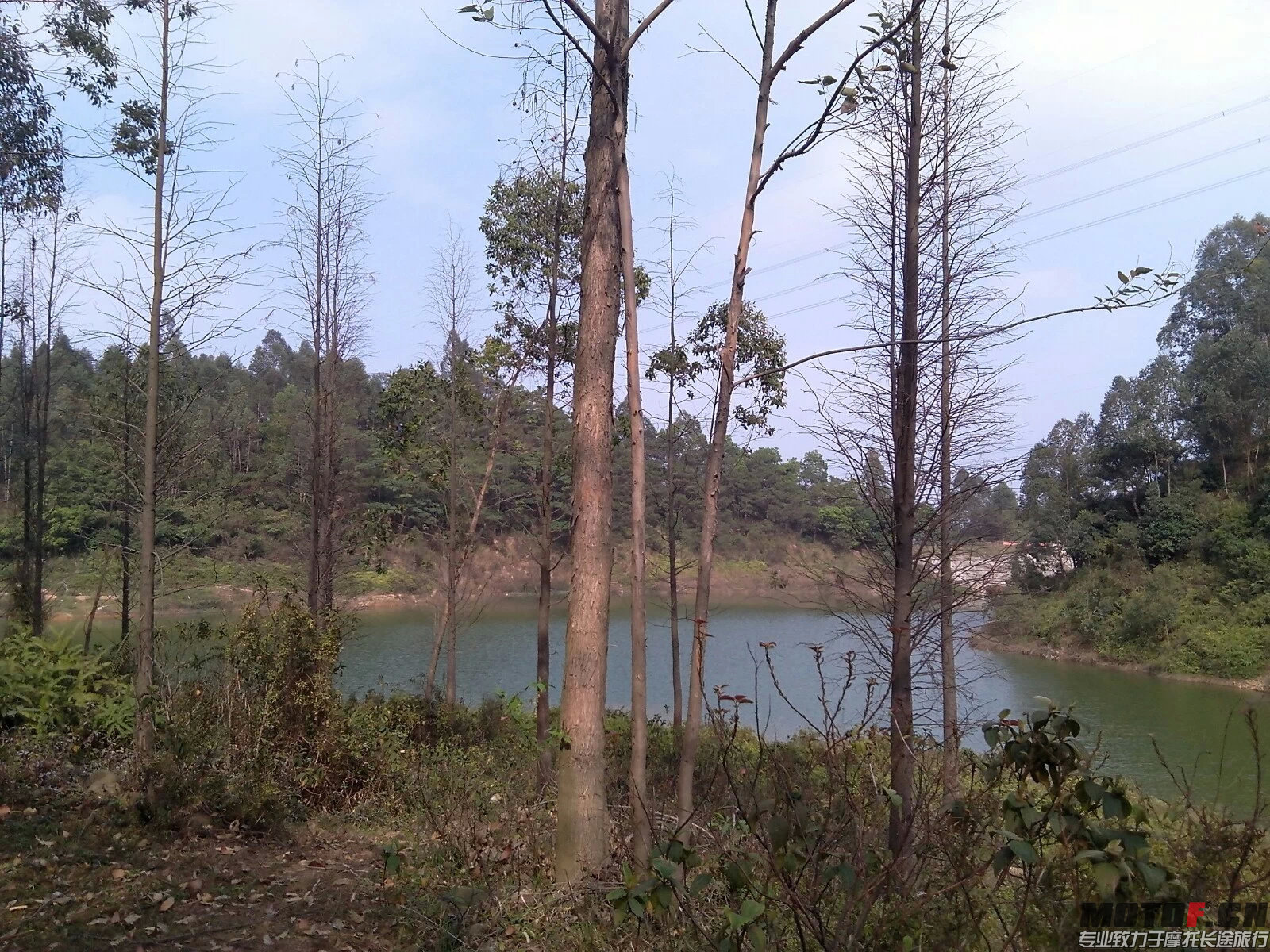 茶山风景5.jpeg