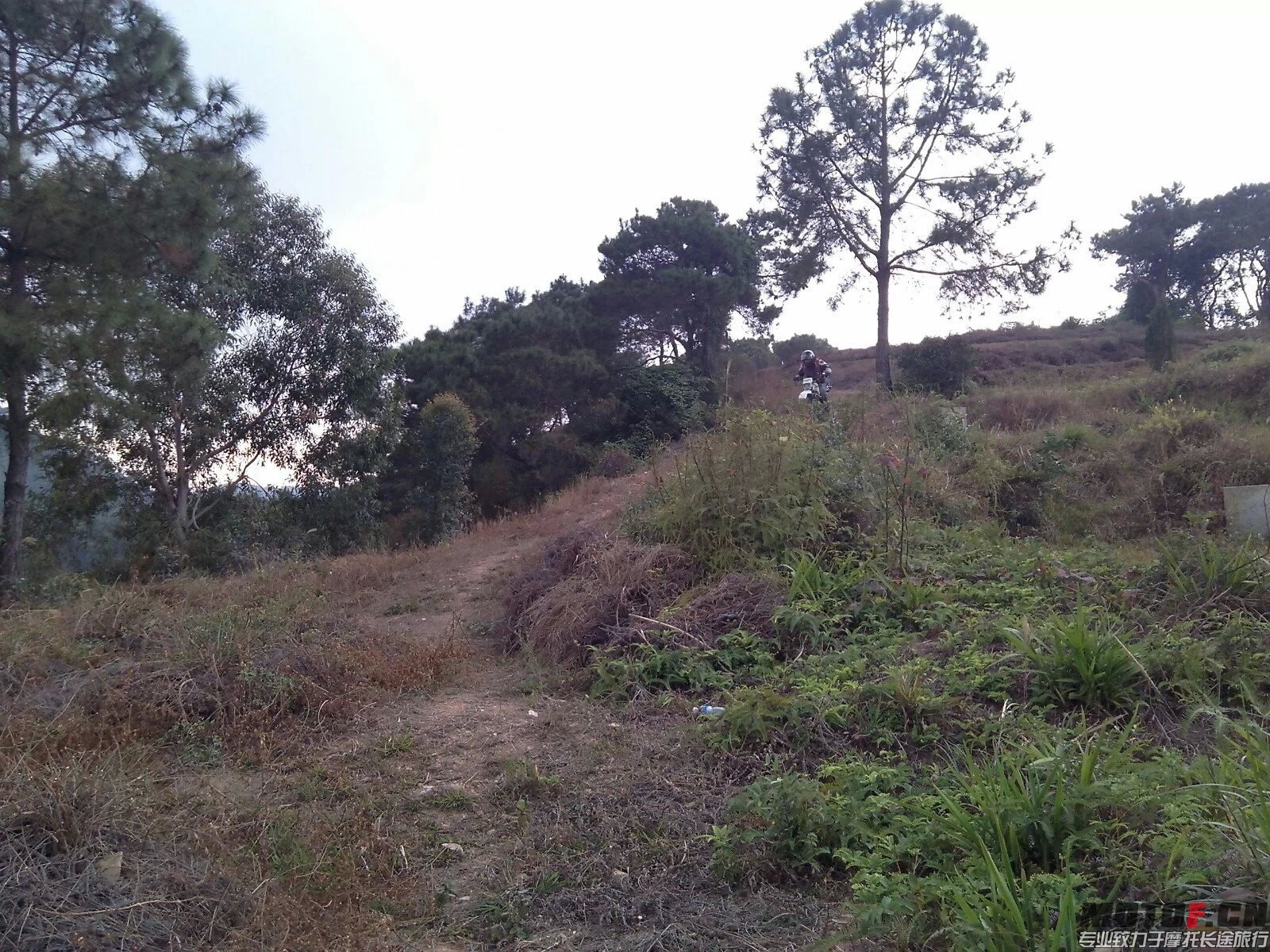 景爷在飞驰1.jpeg