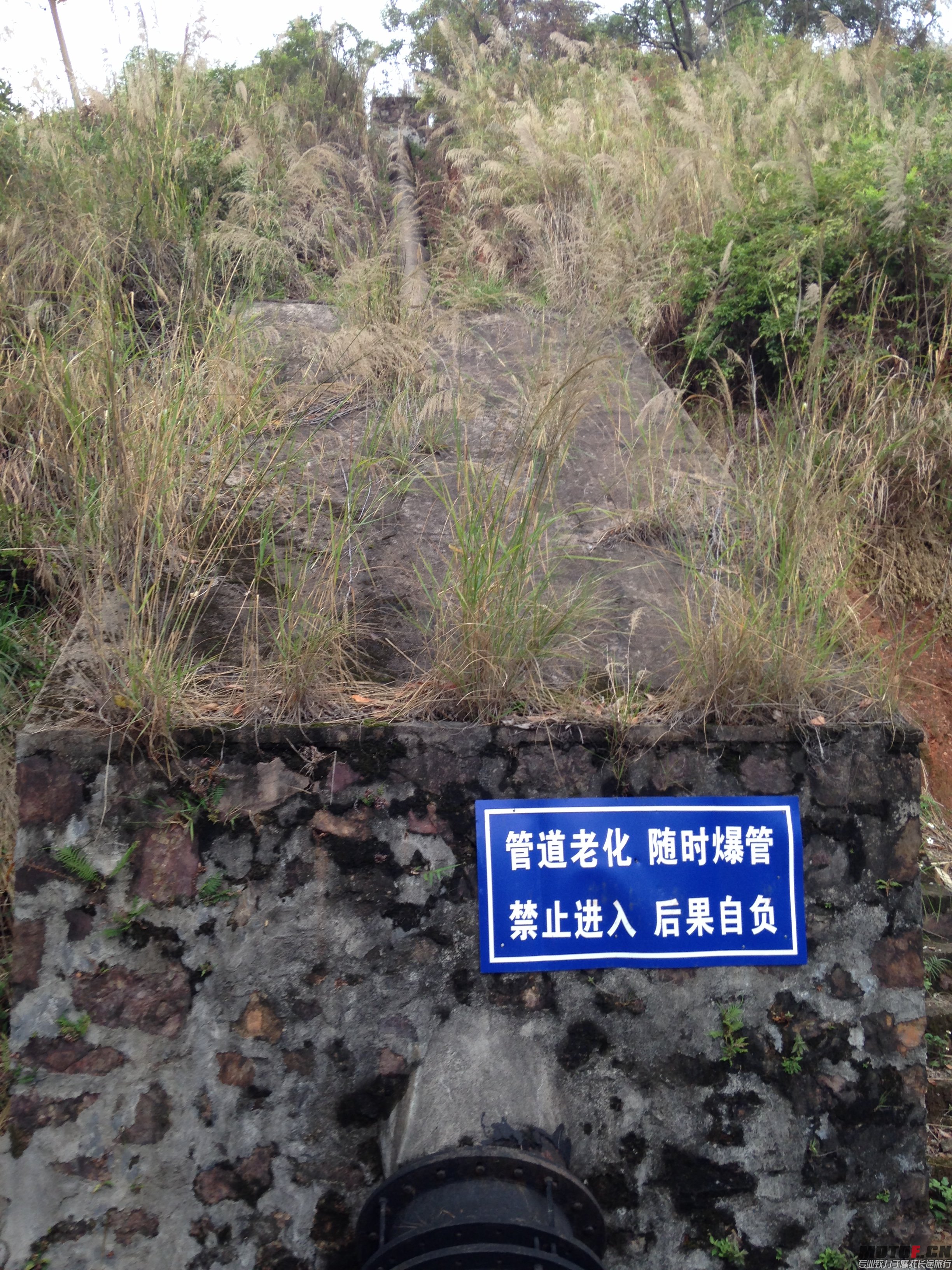 怕怕，拍相走人