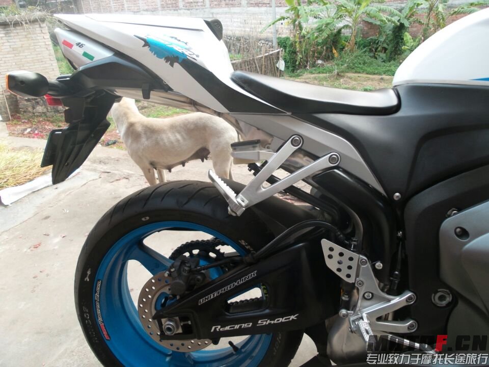 BEDF04943137A1FFE1482058387E34DB.jpg