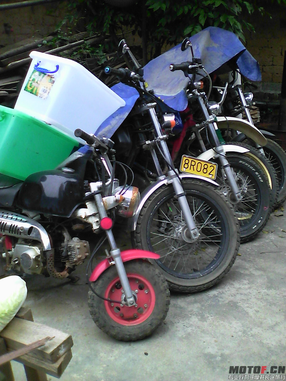 IMG_20150223_115951.jpg