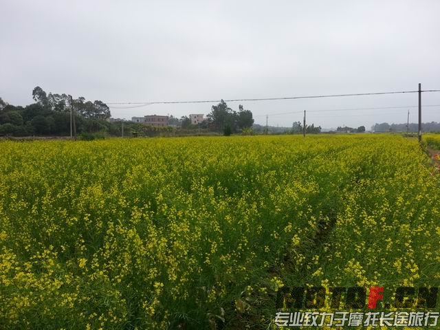 调整大小 20150221_101347.jpg