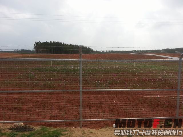 调整大小 20150226_161539.jpg