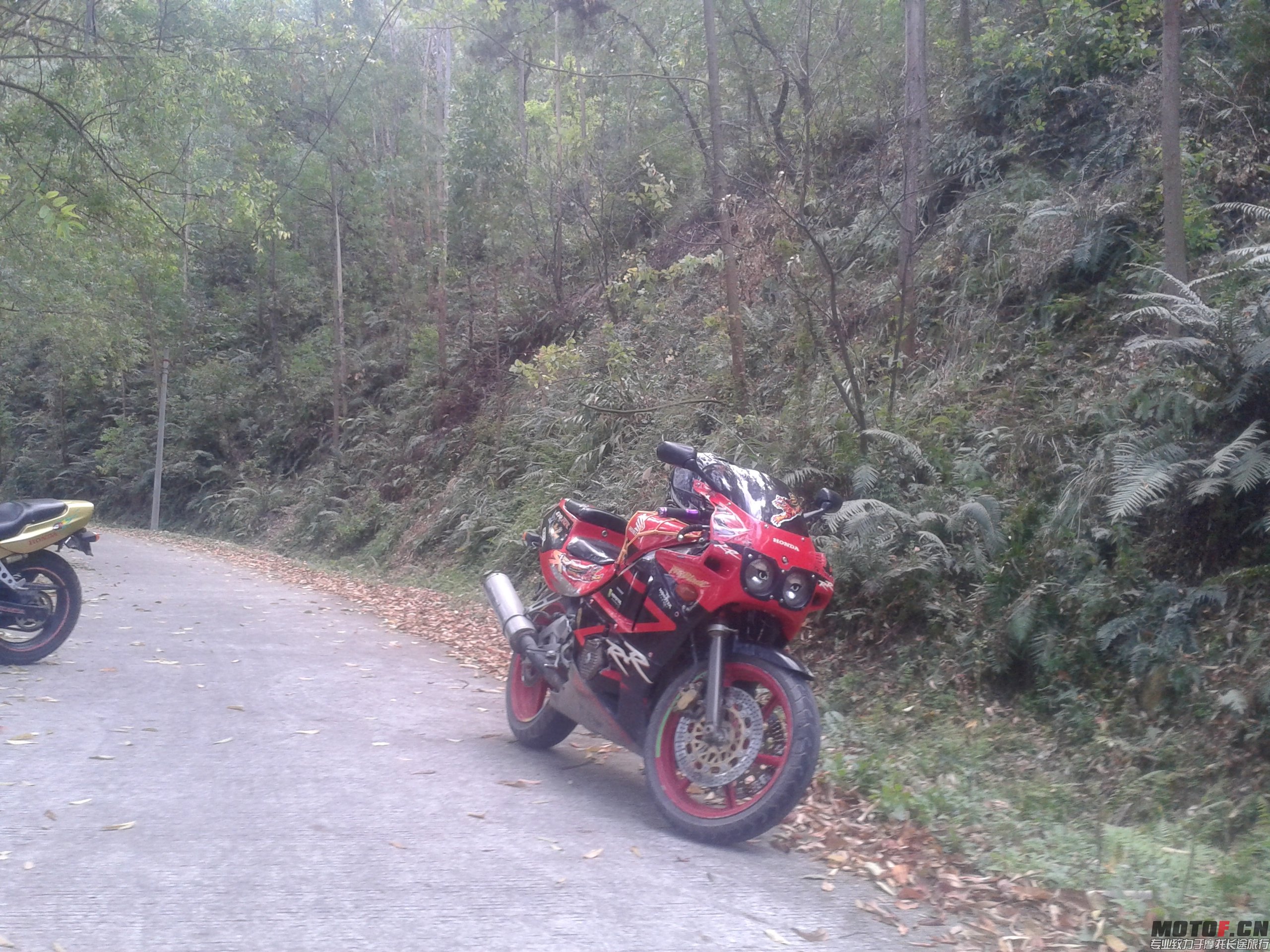 20150225_152141.jpg