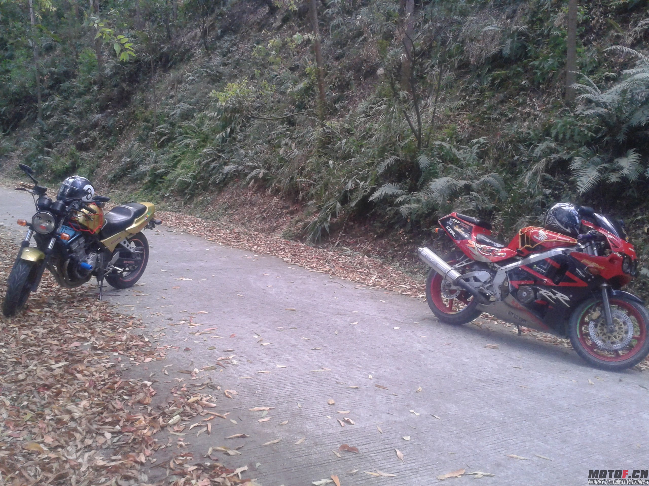 20150225_152208.jpg