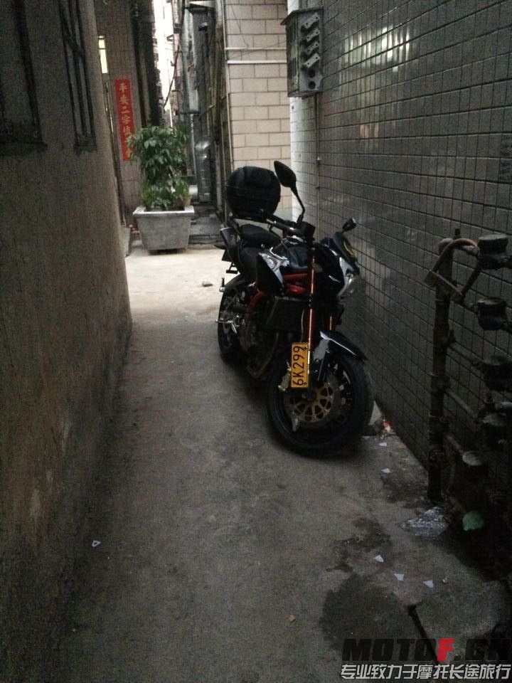 黄5.jpg