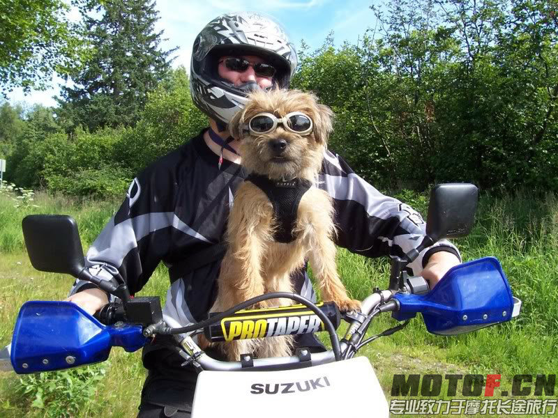 BikerBob011_800_zps1378289d.jpg