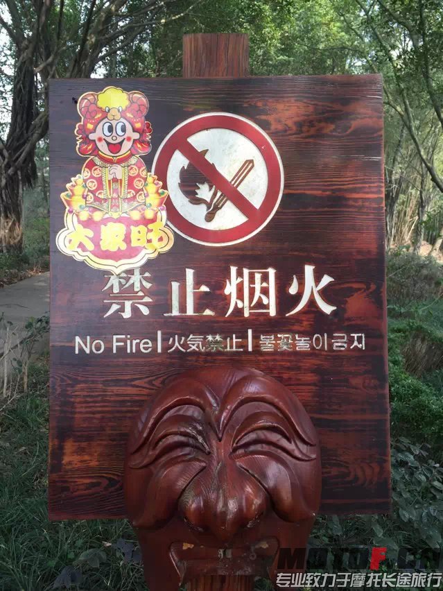 41.jpg