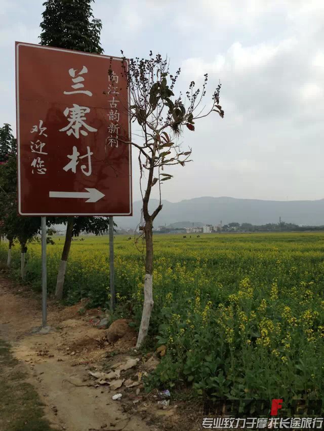 鸡动