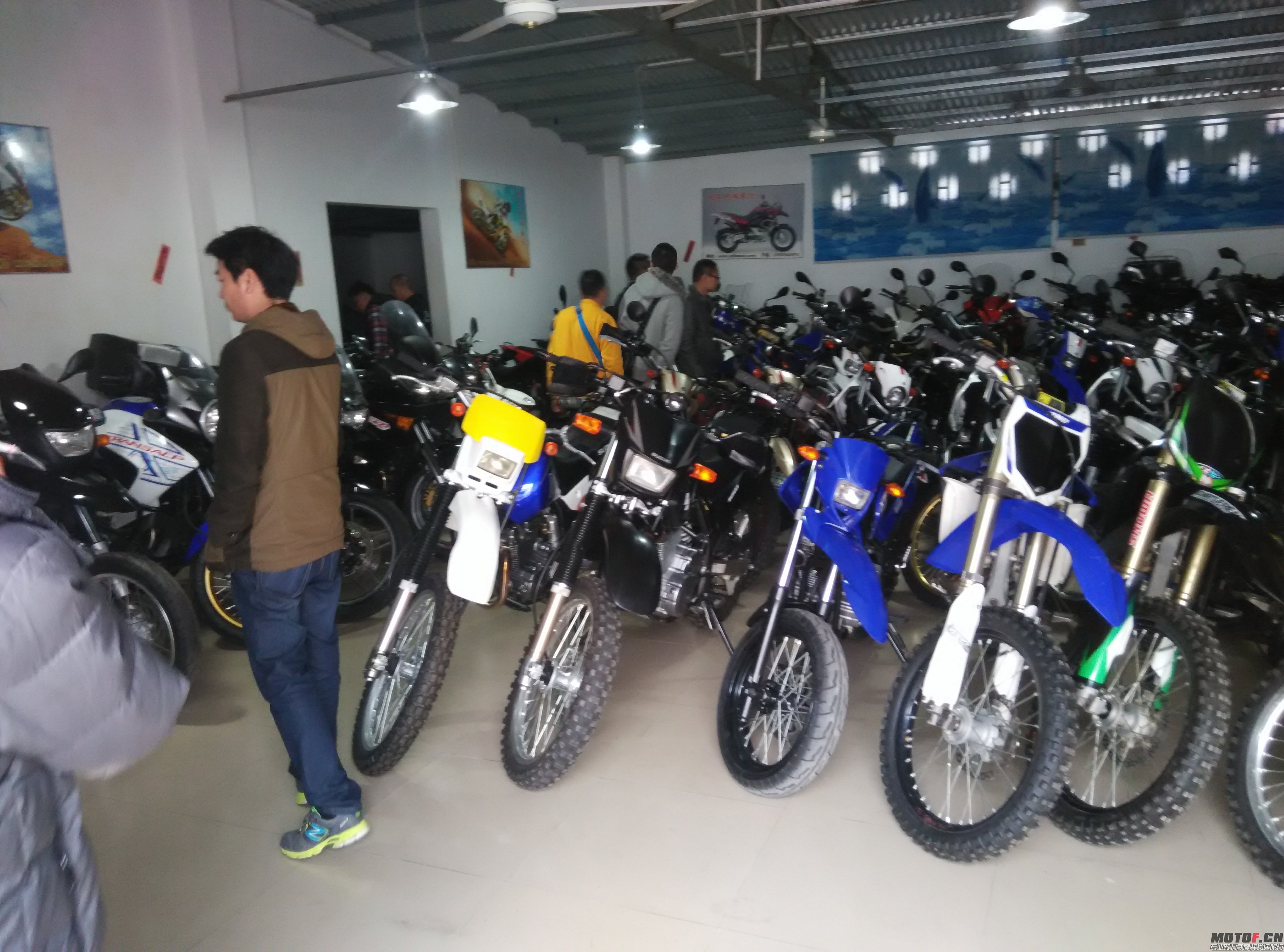 IMG_20150311_150350.jpg