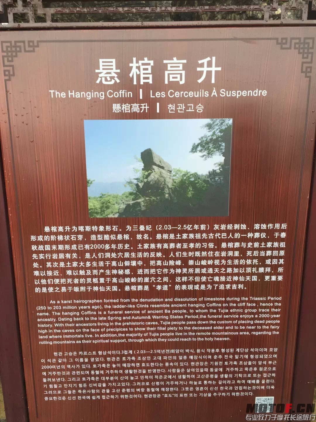 77.jpg