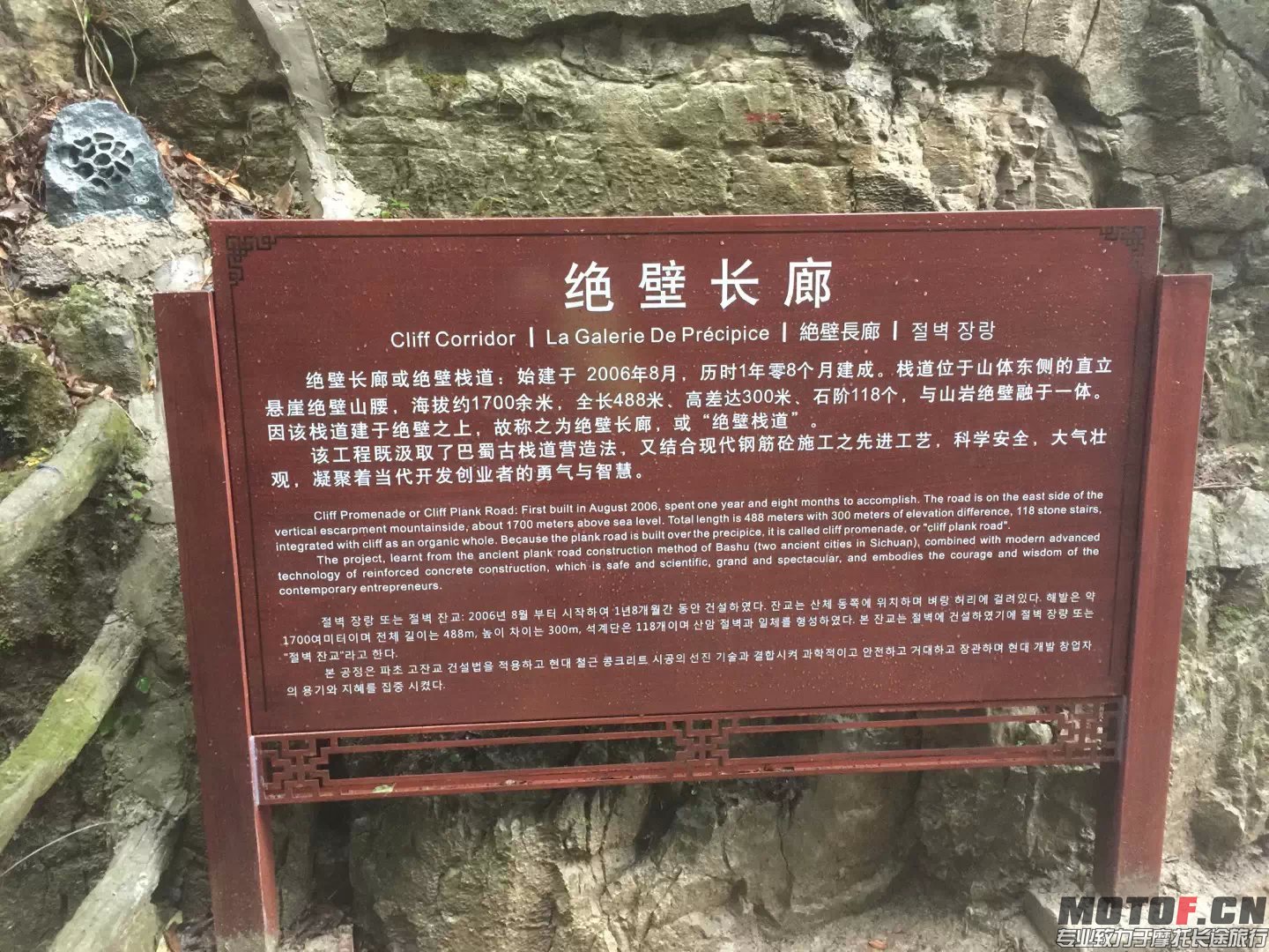 98.jpg