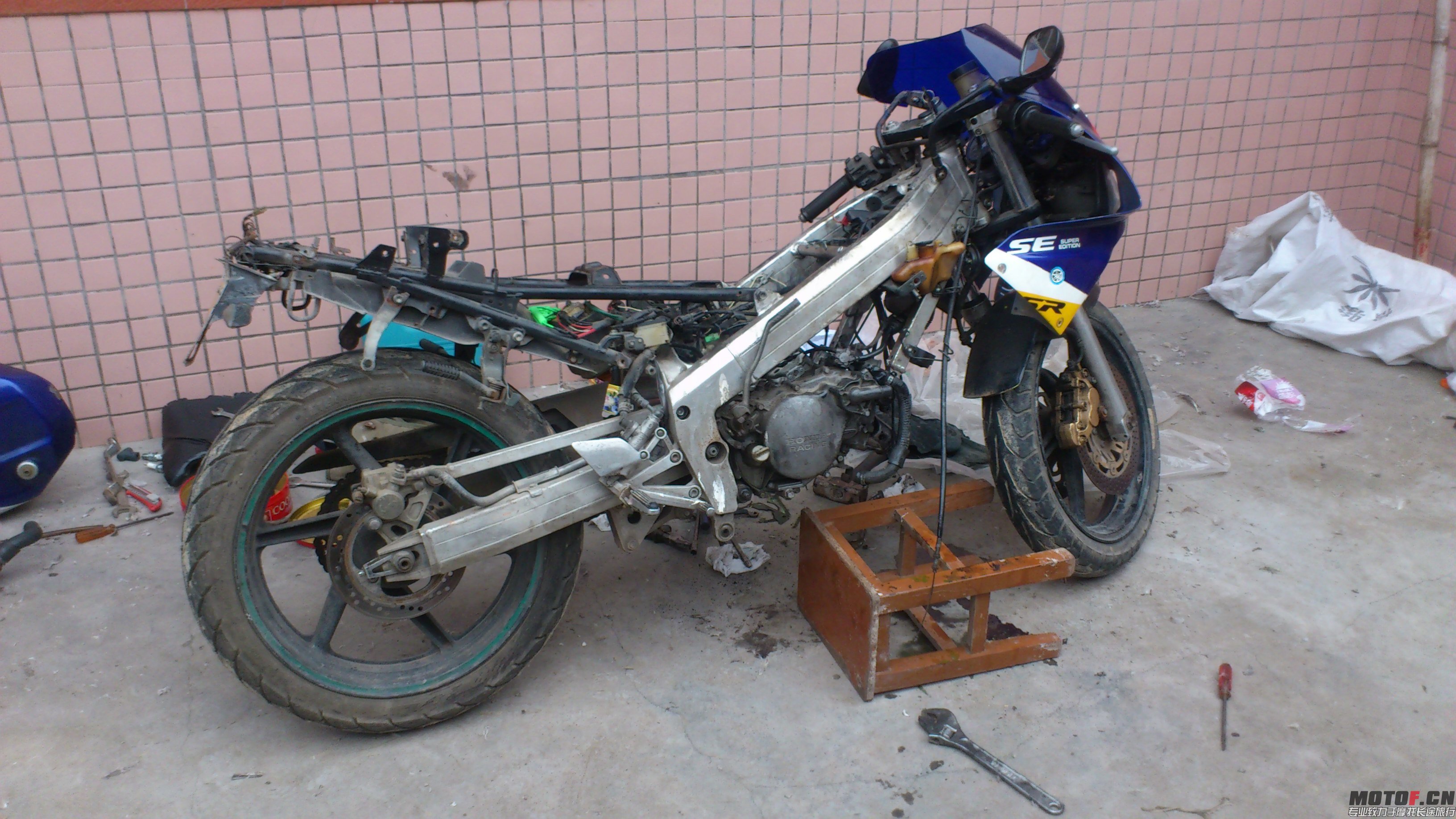 DSC_0010.JPG