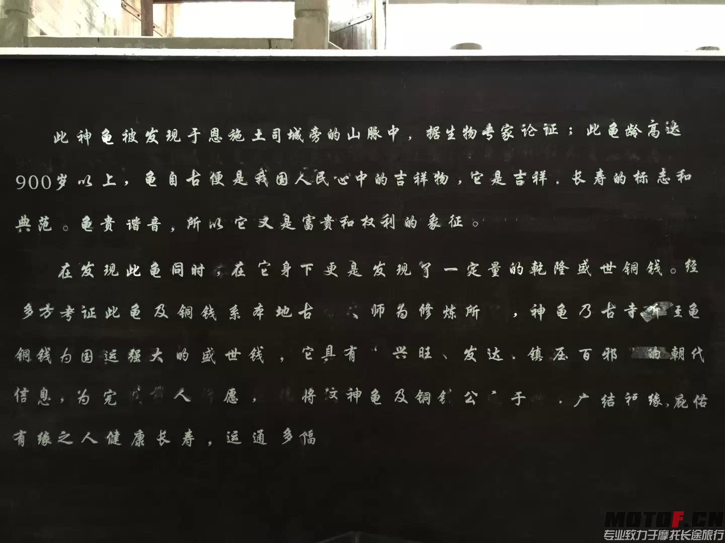 84.jpg