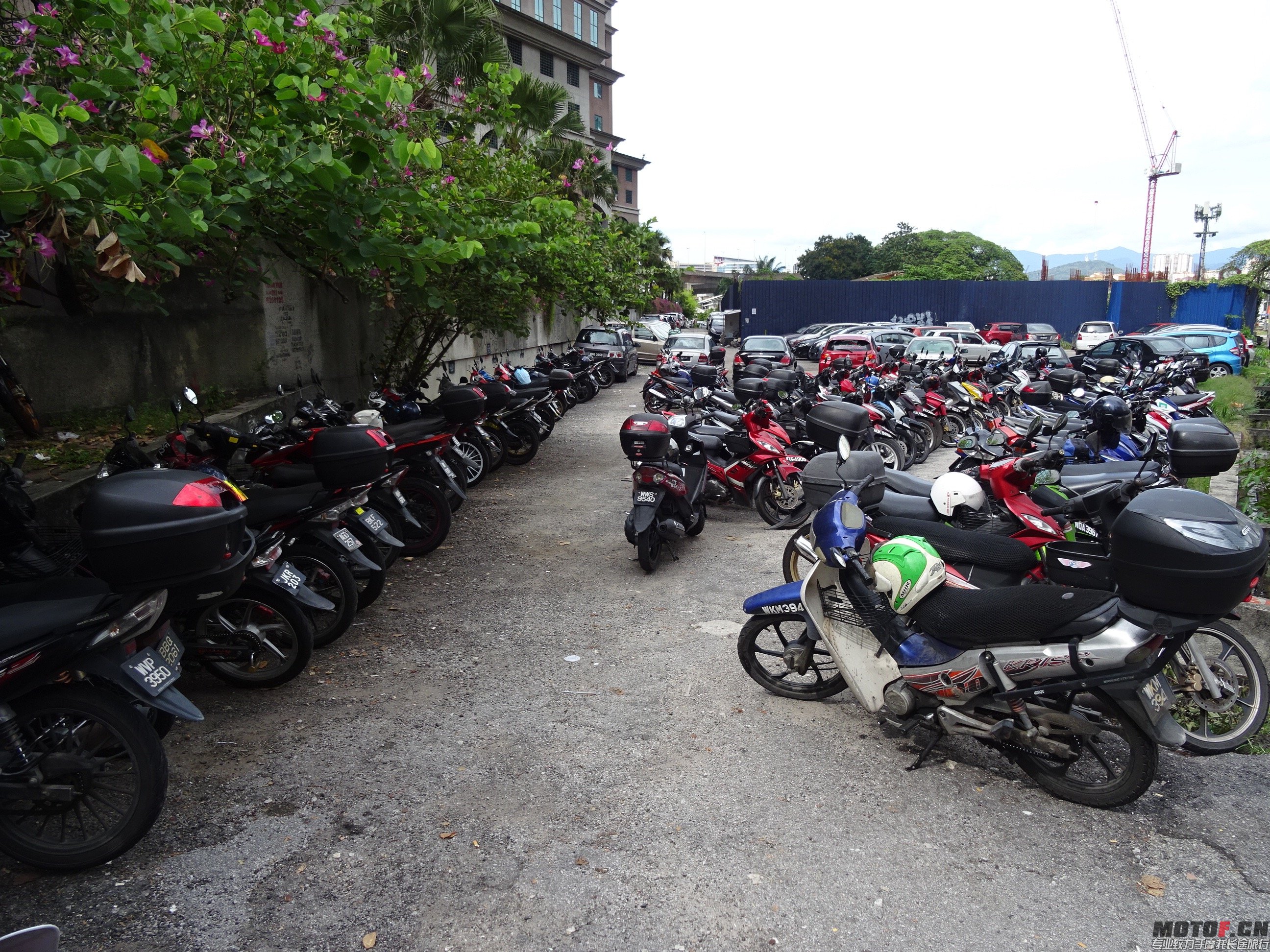 DSC07894.jpg
