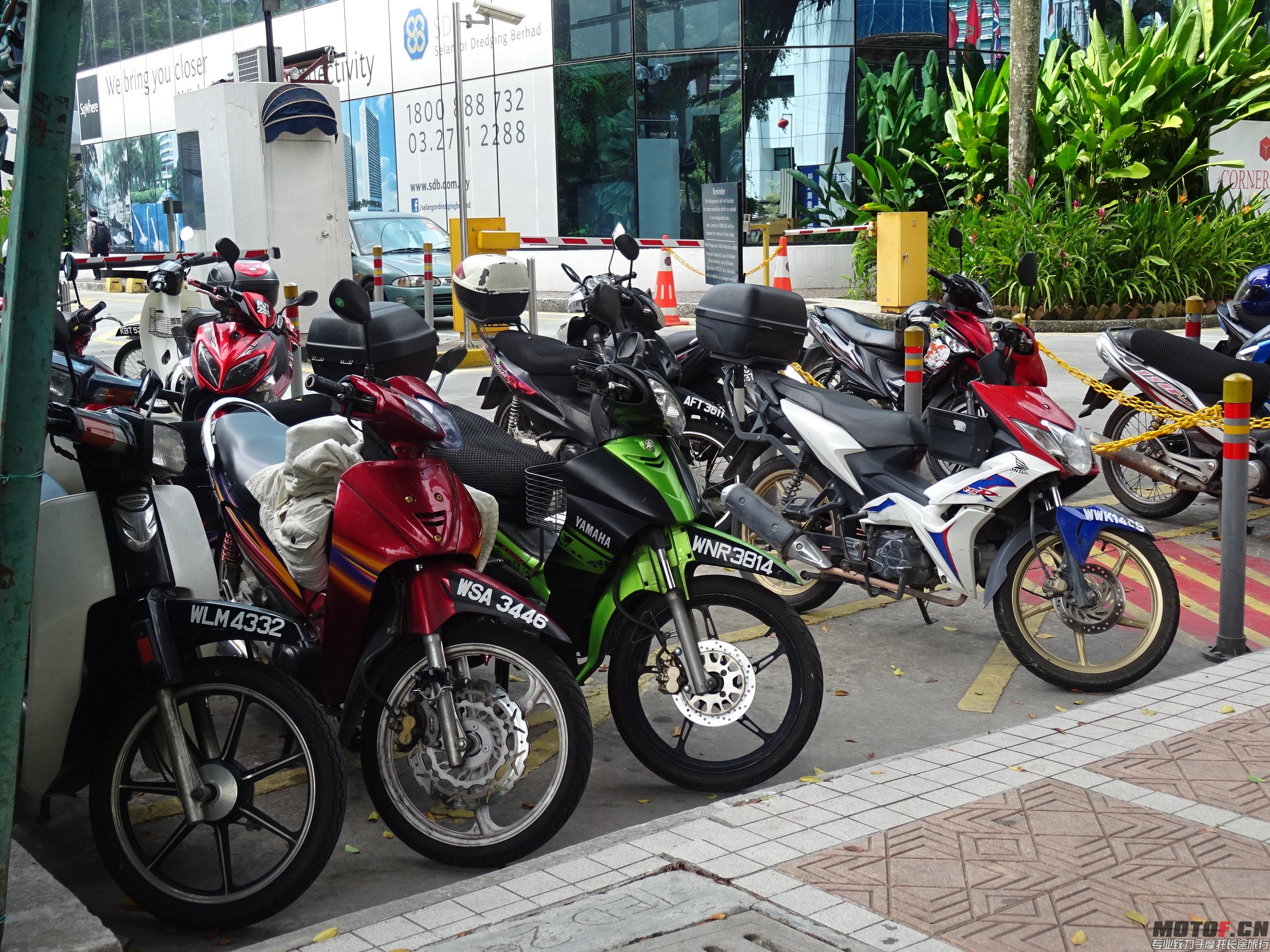 DSC07901.jpg