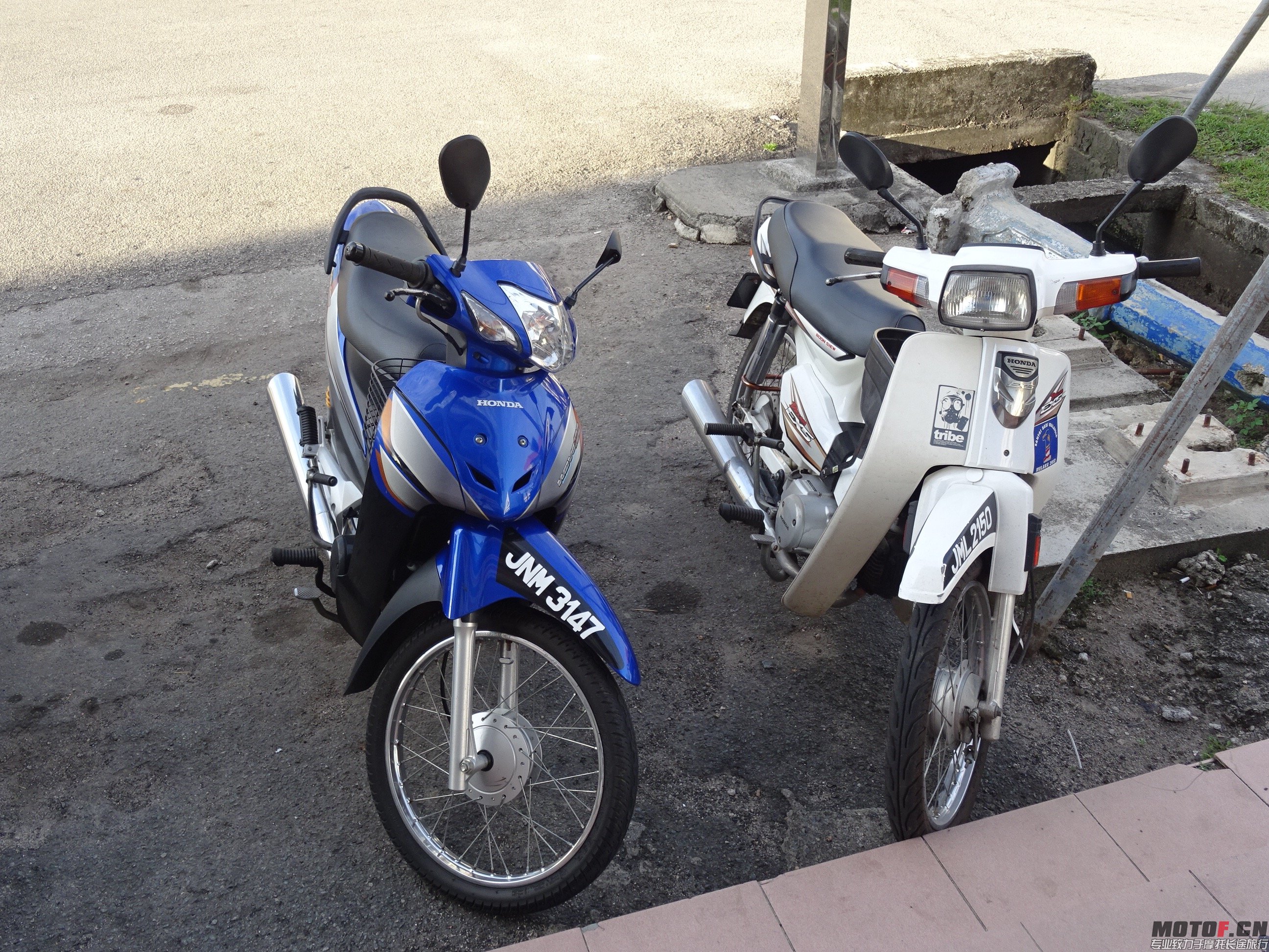 DSC07950.jpg