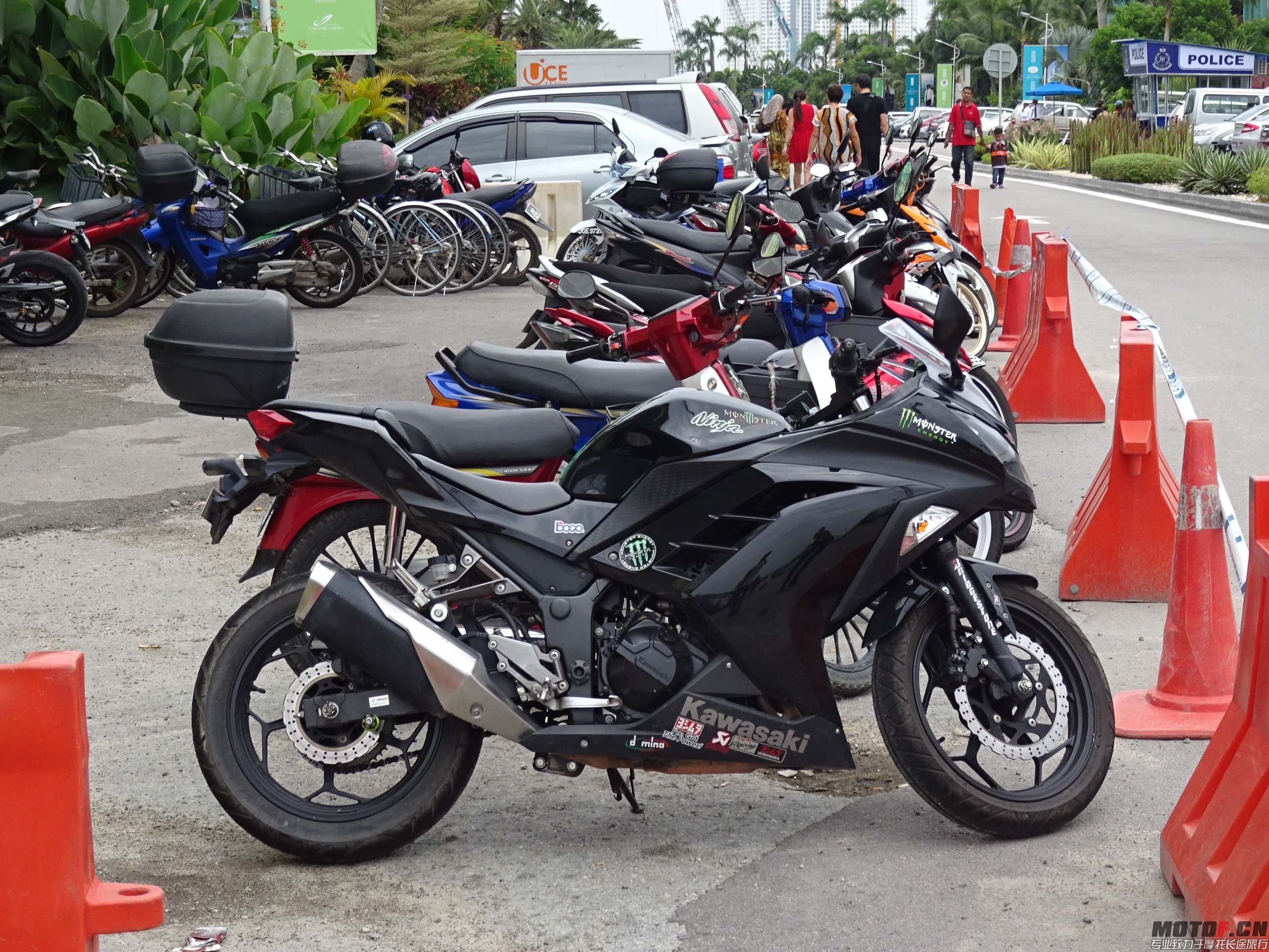 DSC08015.jpg