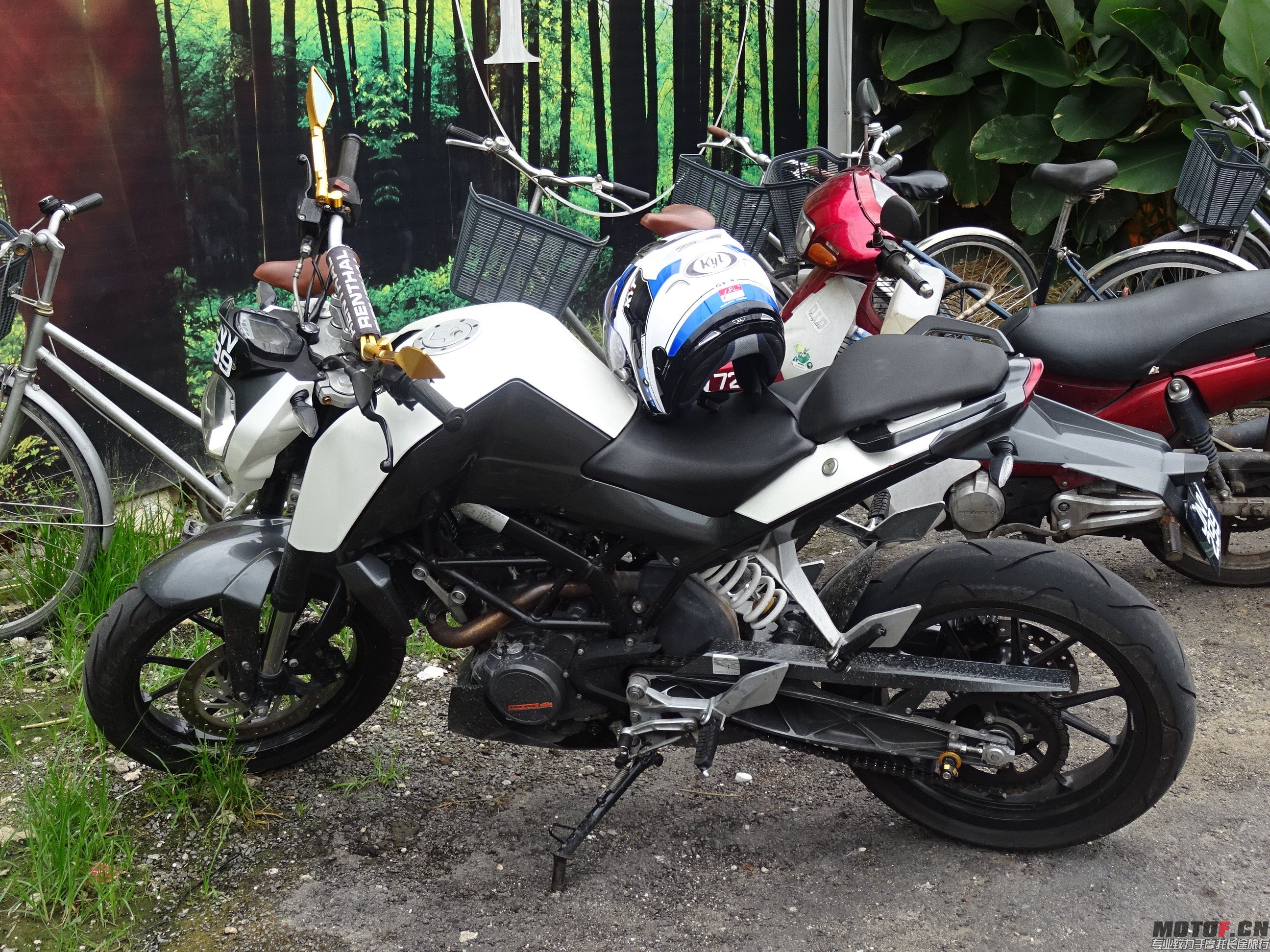 DSC08016.jpg