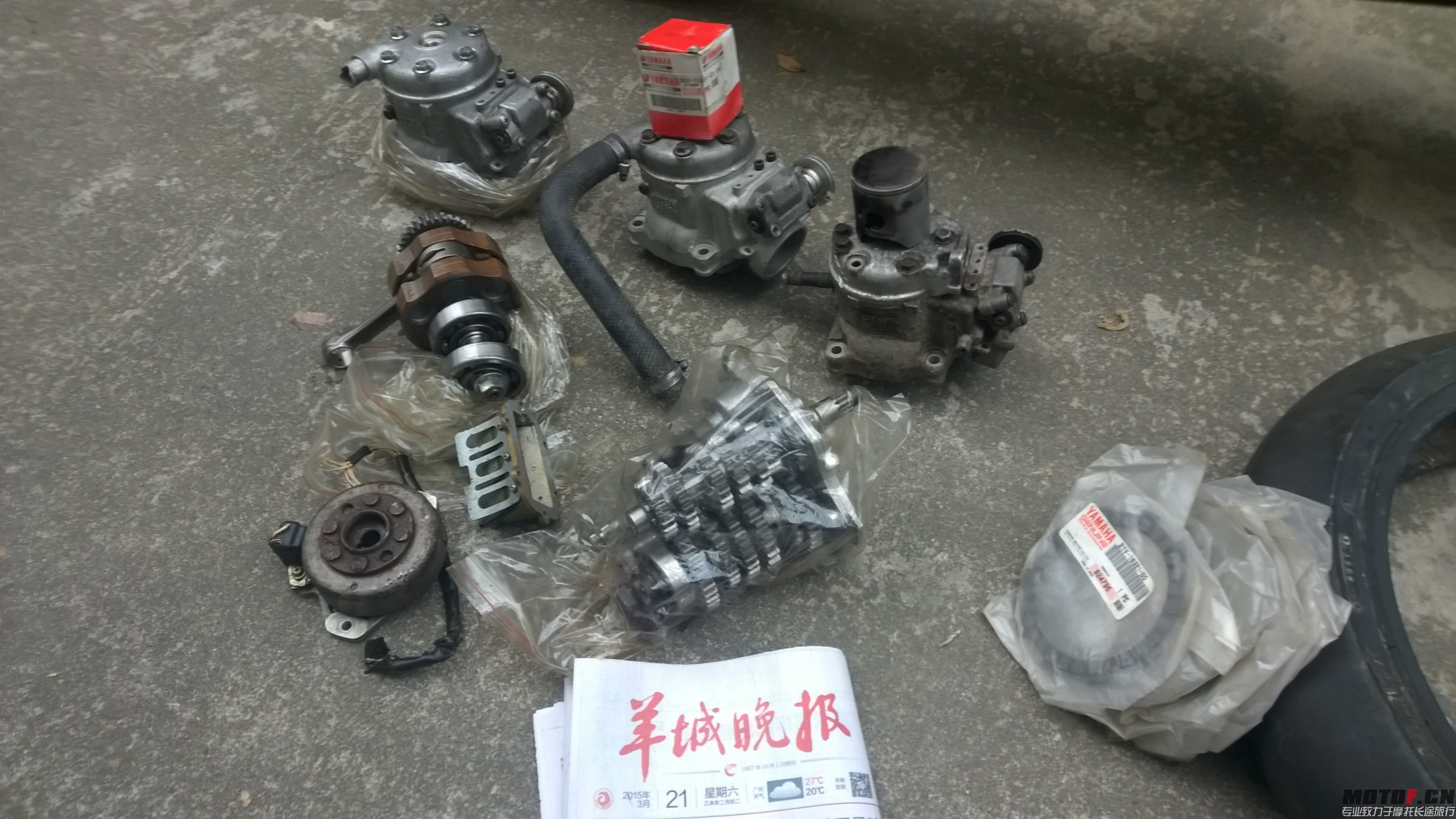 WP_20150321_014.jpg
