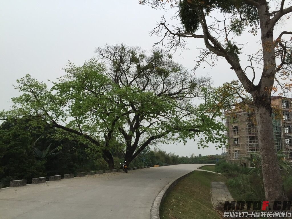 QQ图片20150322175139.jpg