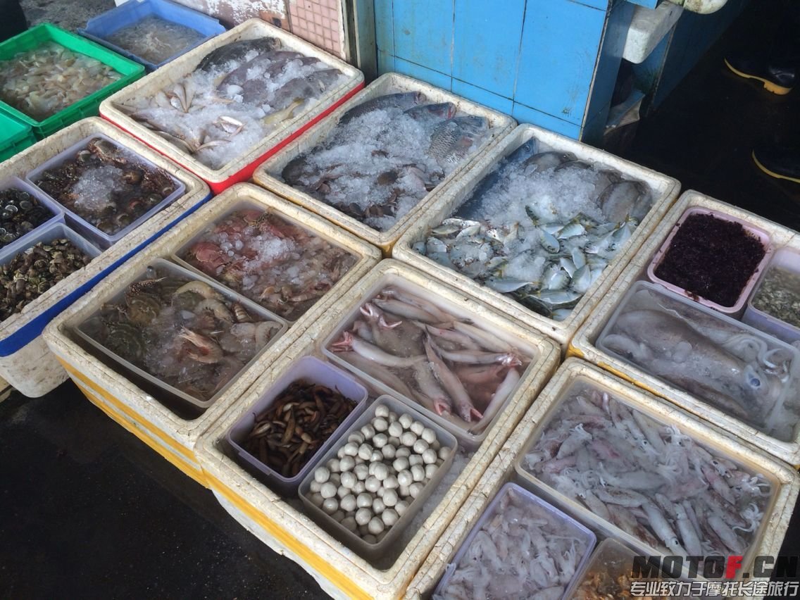 QQ图片20150322222719.jpg