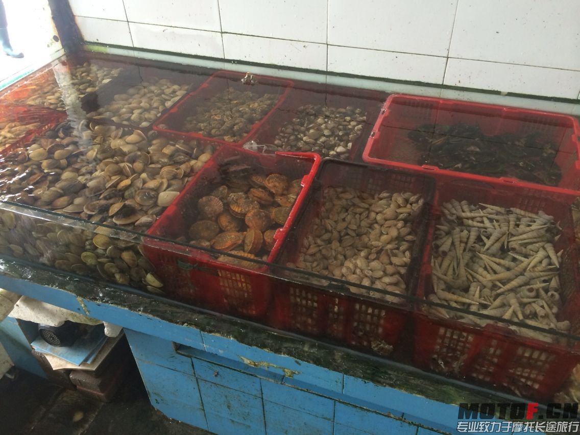 QQ图片20150322222726.jpg
