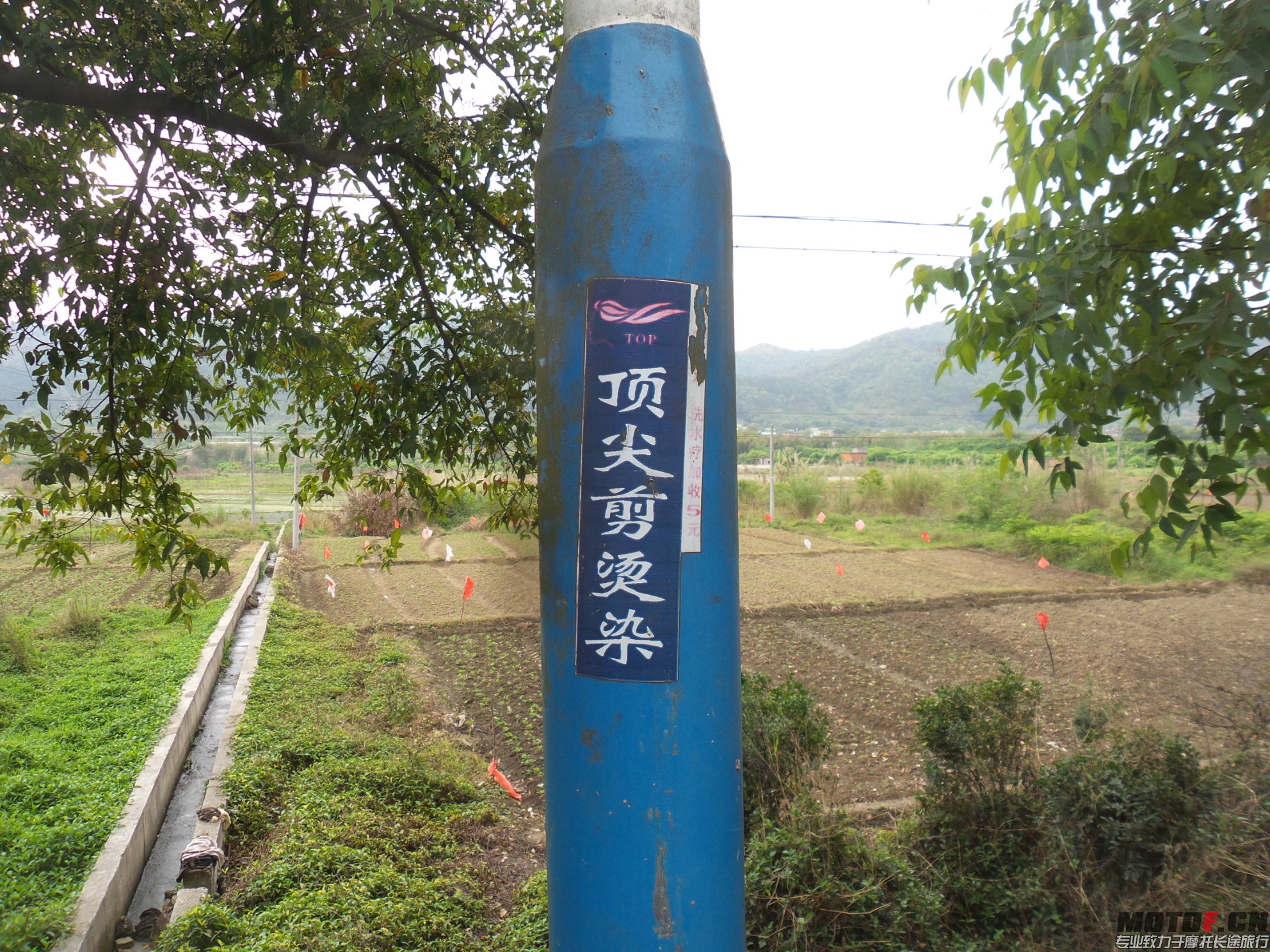 20150325_121012.jpg