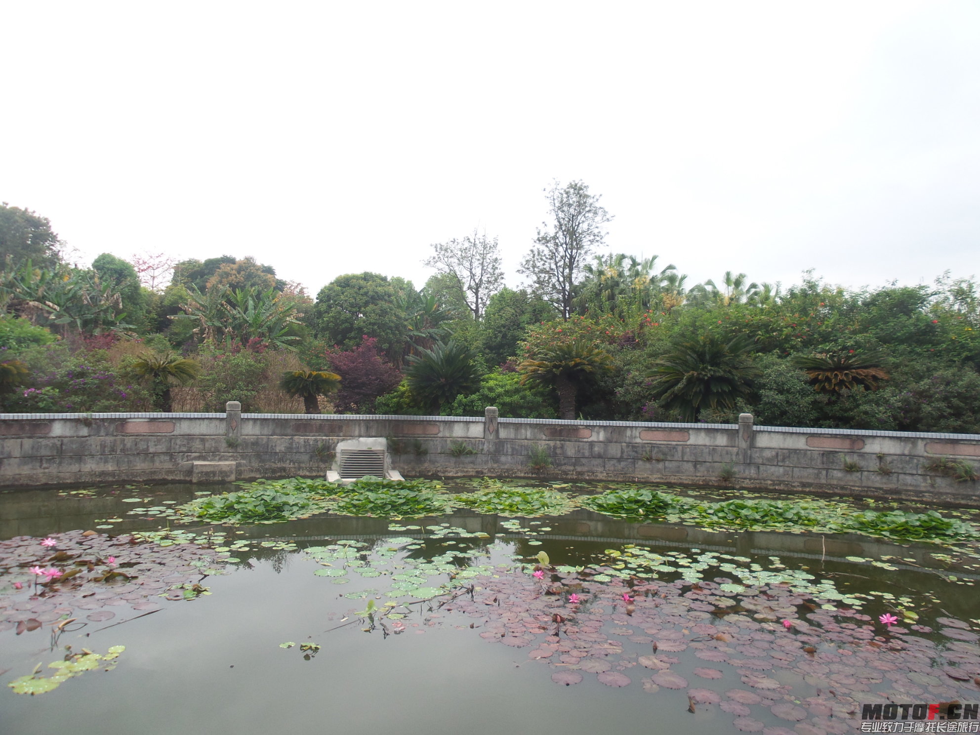 20150325_131223.jpg
