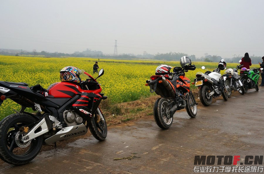 131853rnw07q5035qp9p5d.jpg.thumb_副本.jpg
