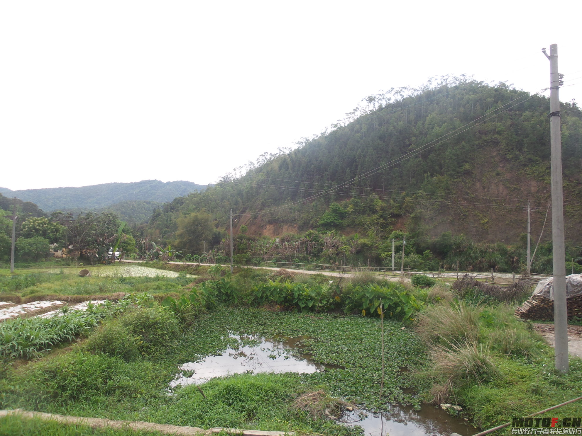20150401_141111.jpg