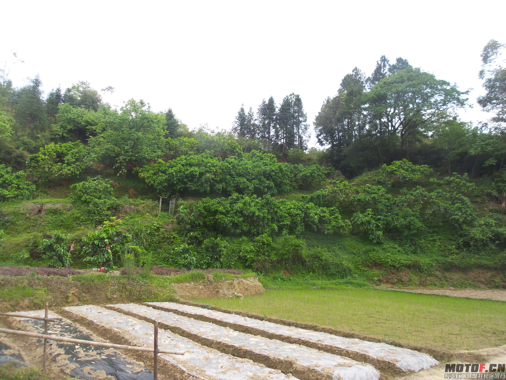 20150401_141500.jpg