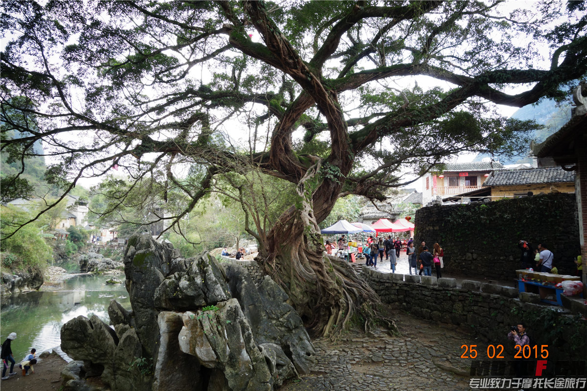 DSC00928.jpg