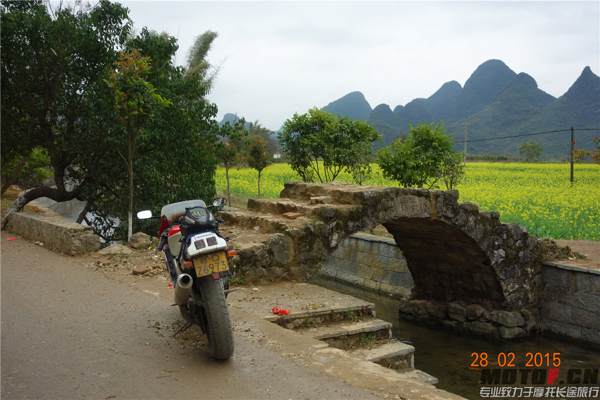 DSC01549.jpg