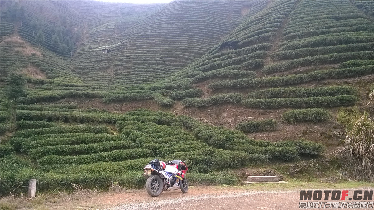 WP_20141125_008.jpg