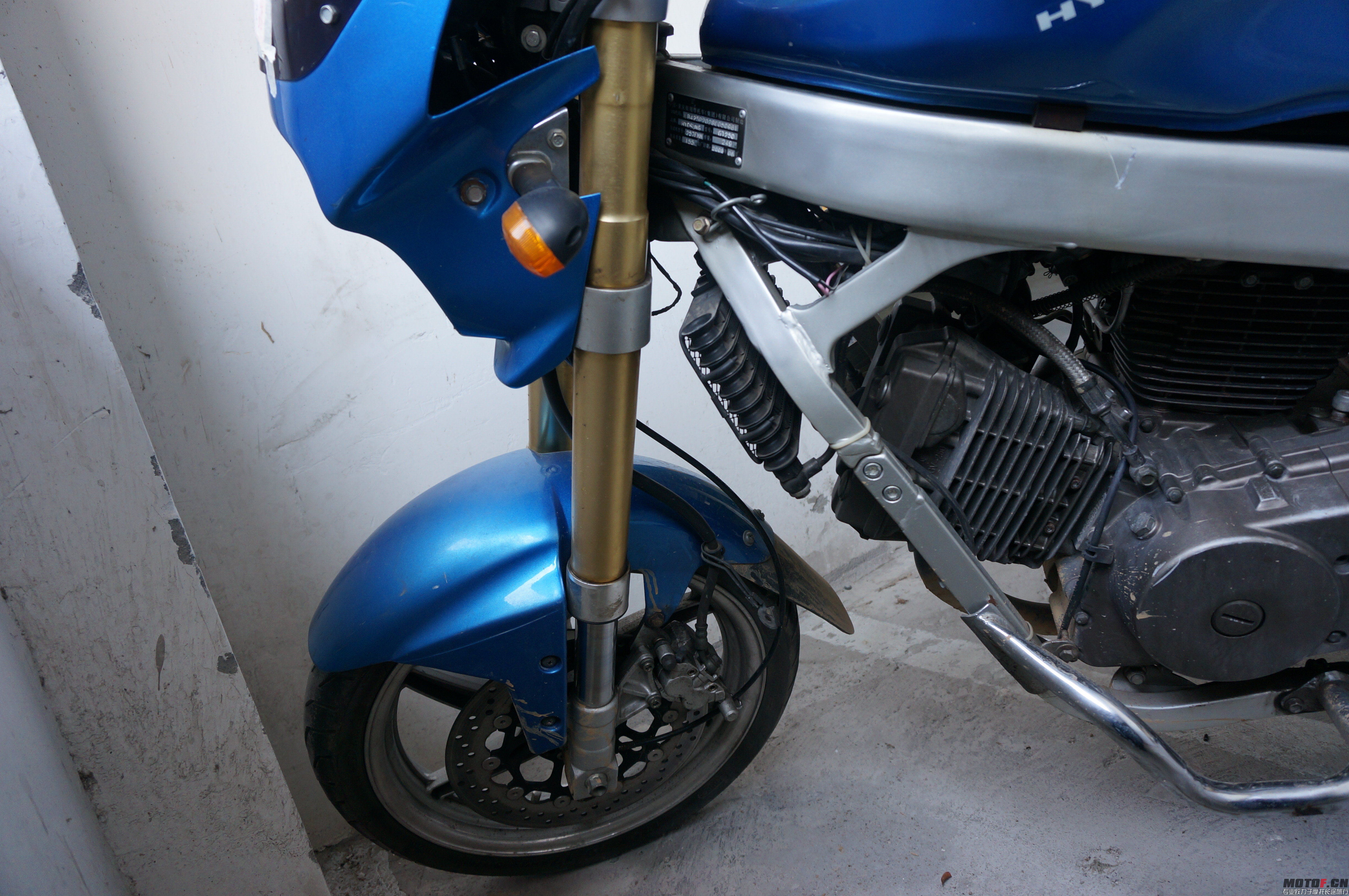 DSC08700.JPG