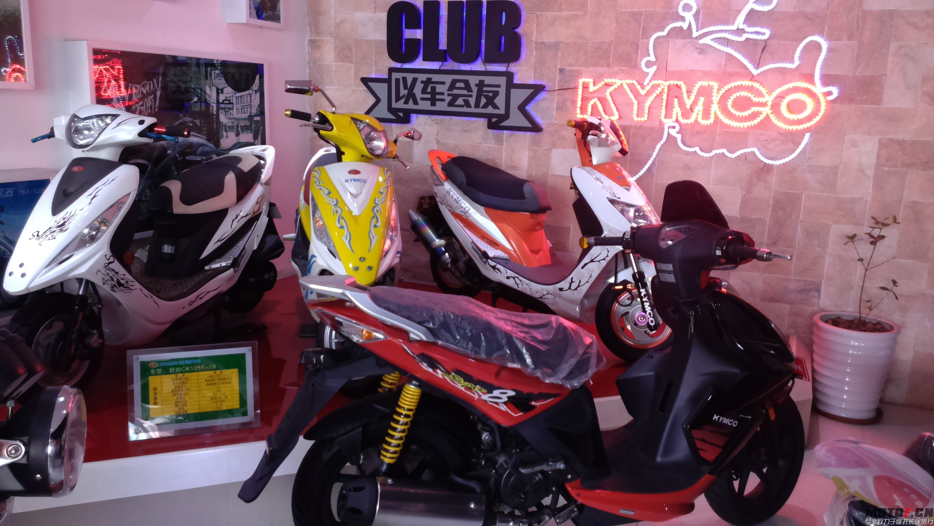 IMAG0059.jpg