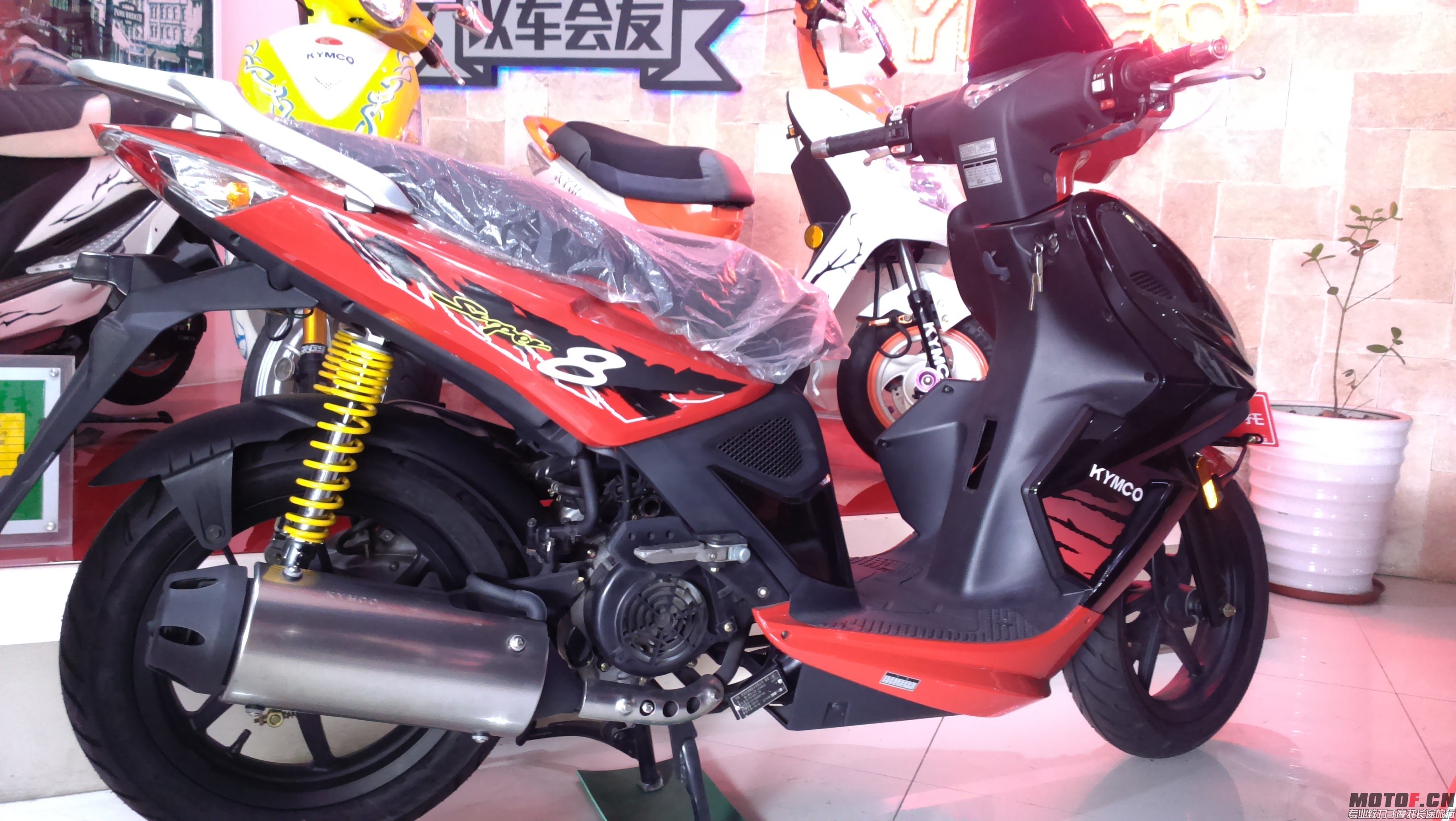 IMAG0063.jpg