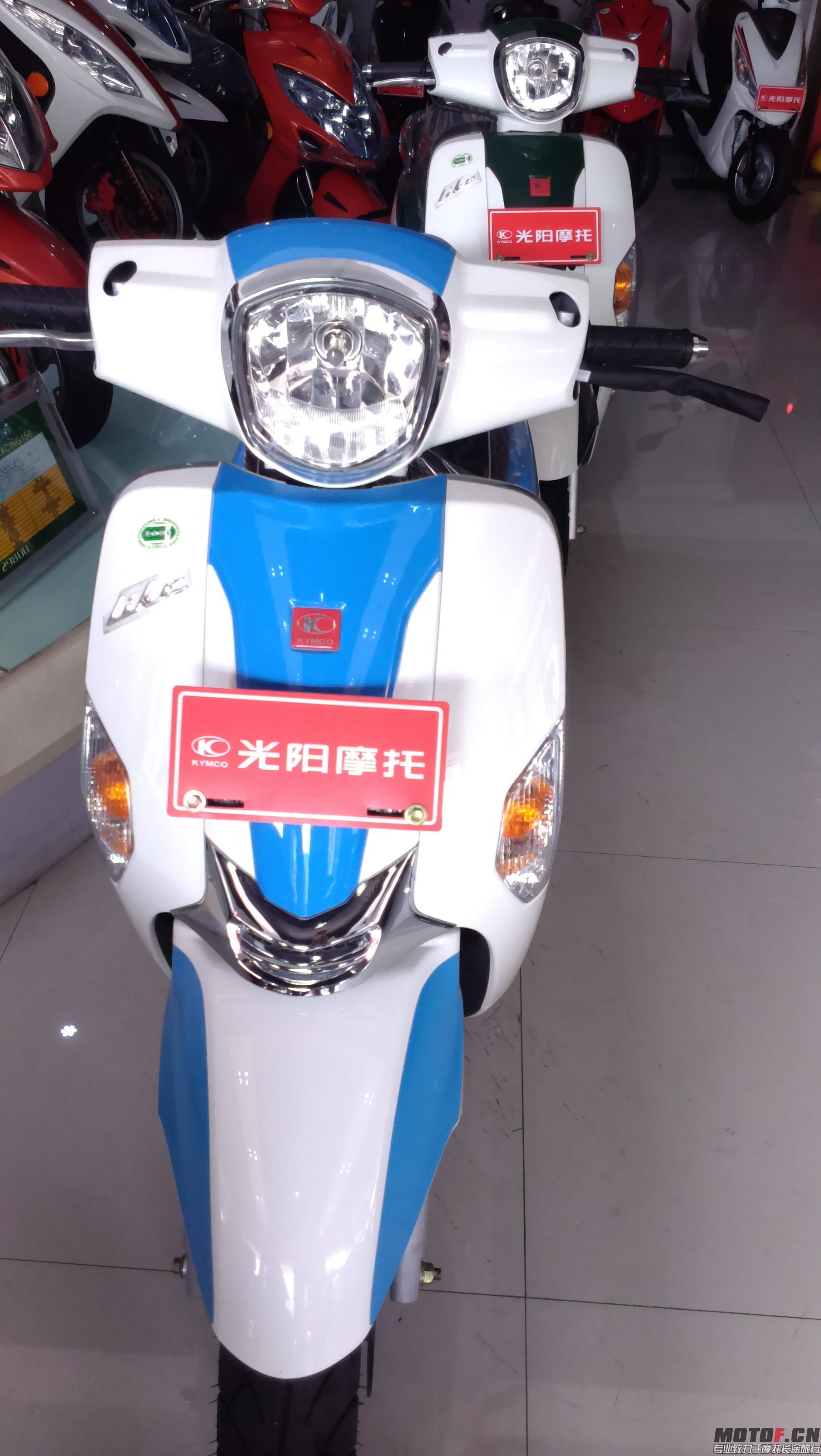 IMAG0069.jpg