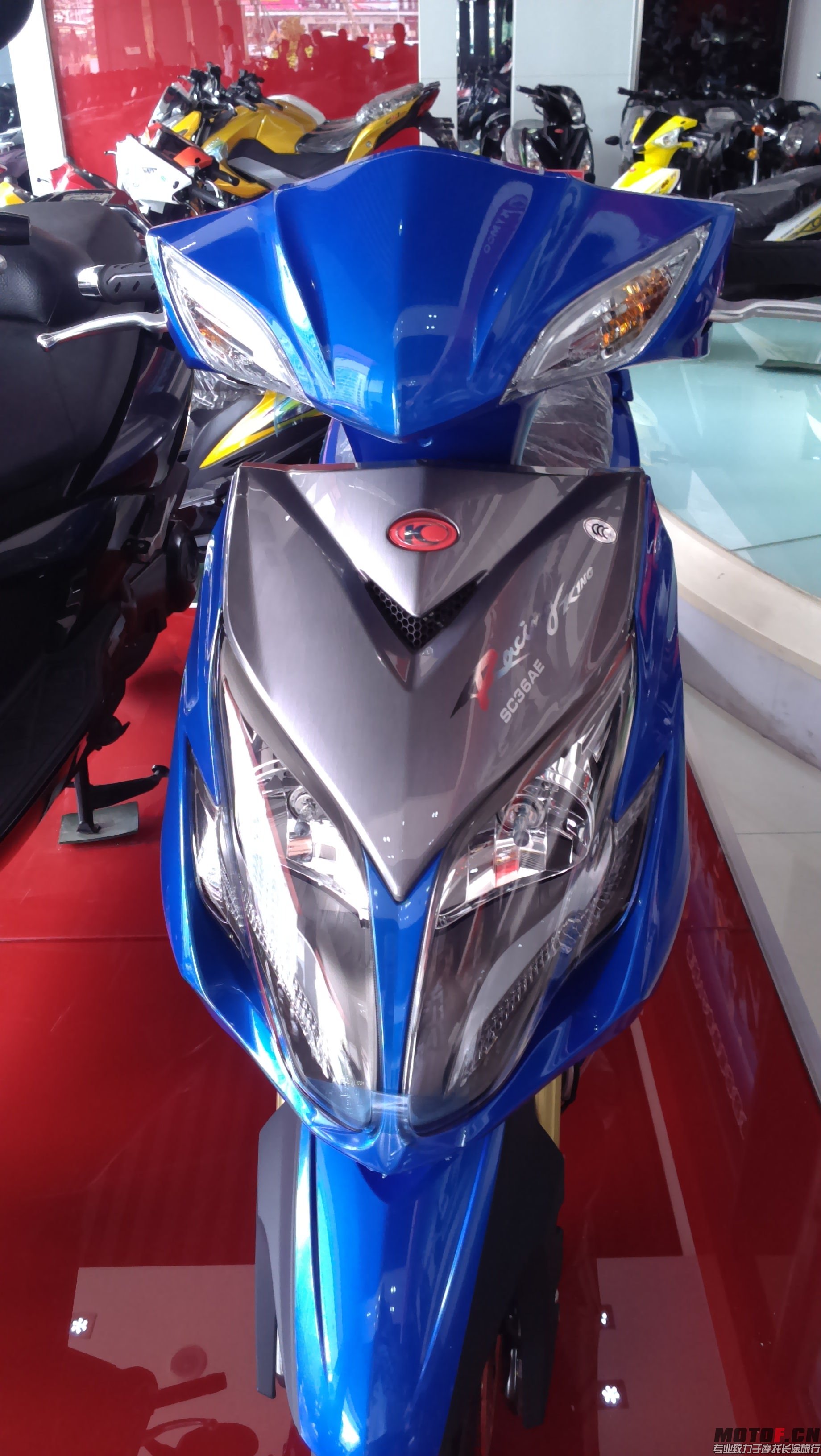 IMAG0071.jpg