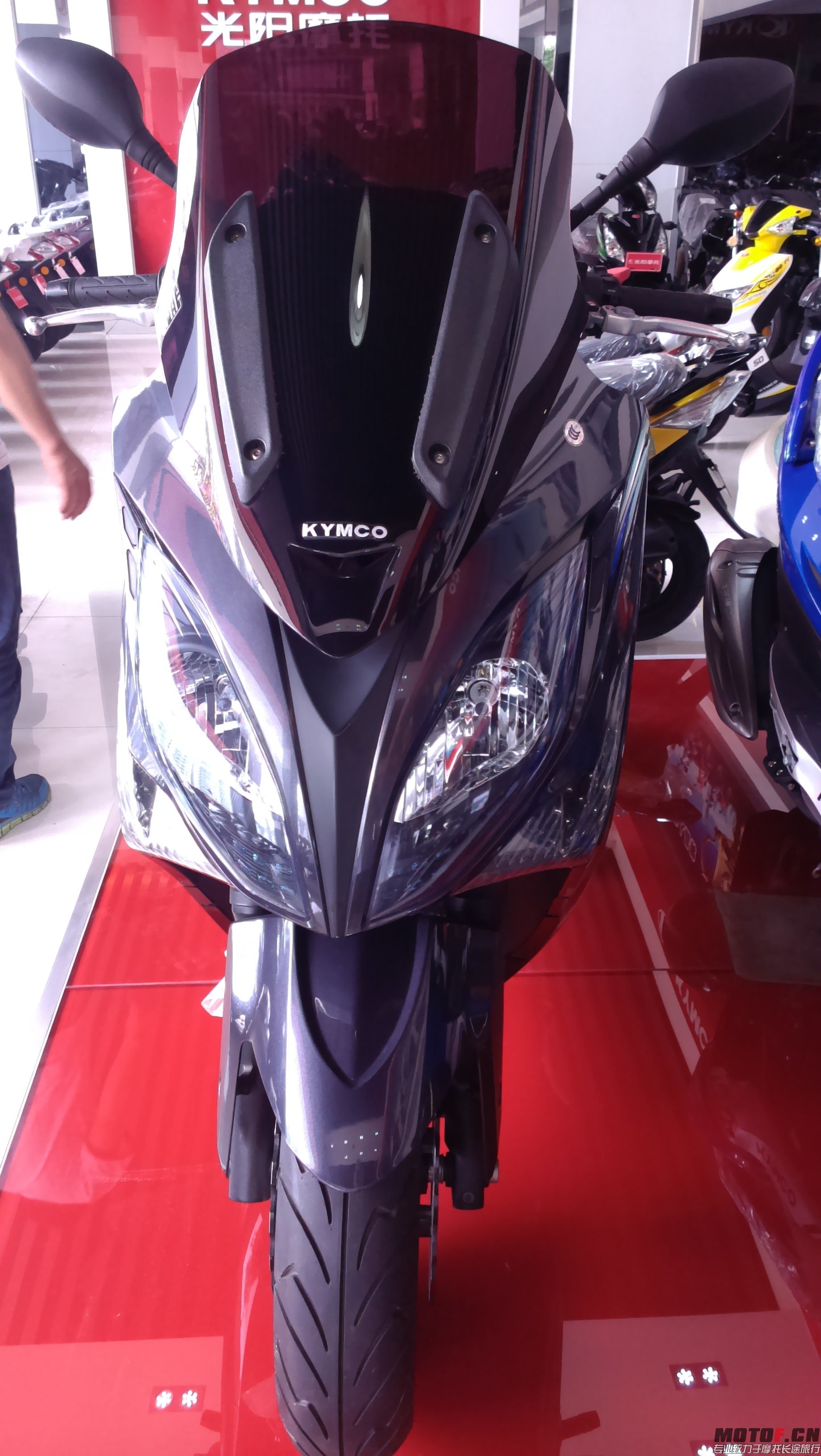 IMAG0073.jpg