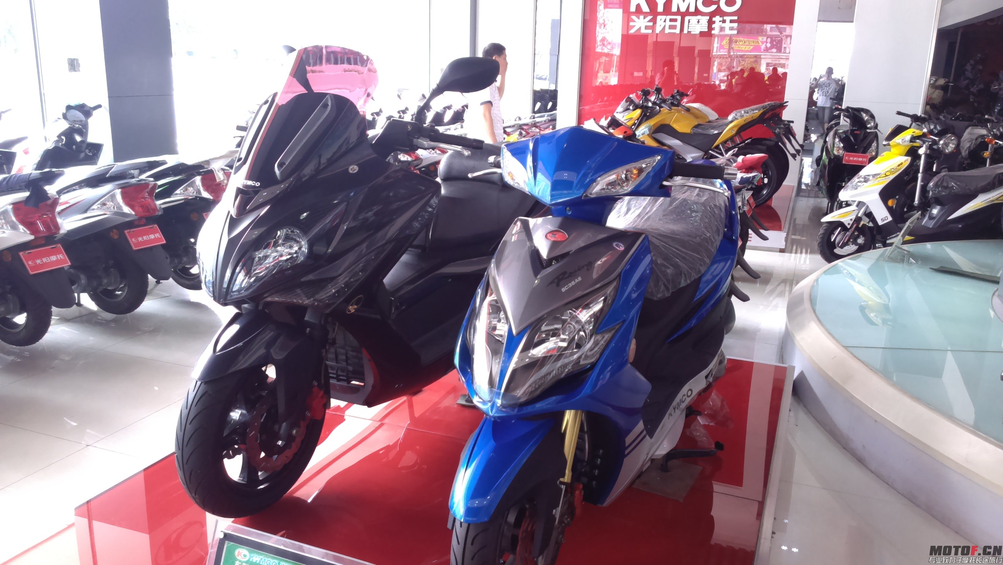 IMAG0074.jpg